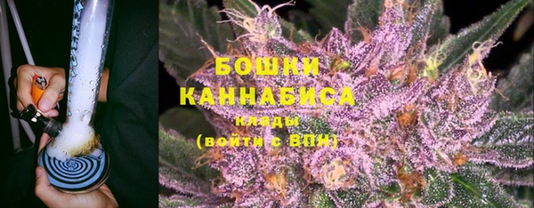 PSILOCYBIN Белокуриха