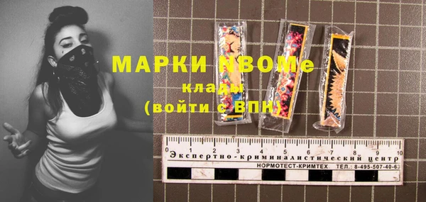 PSILOCYBIN Белокуриха
