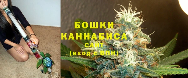 PSILOCYBIN Белокуриха