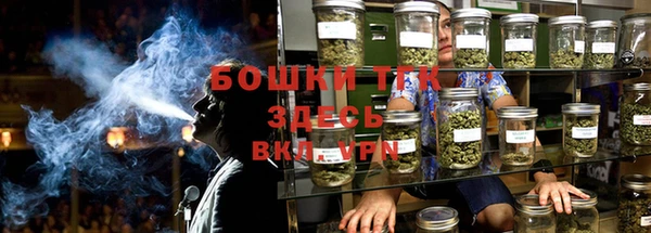 PSILOCYBIN Белокуриха