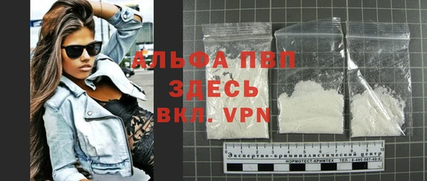 PSILOCYBIN Белокуриха